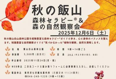 秋の飯山森林セラピー&自然観察会