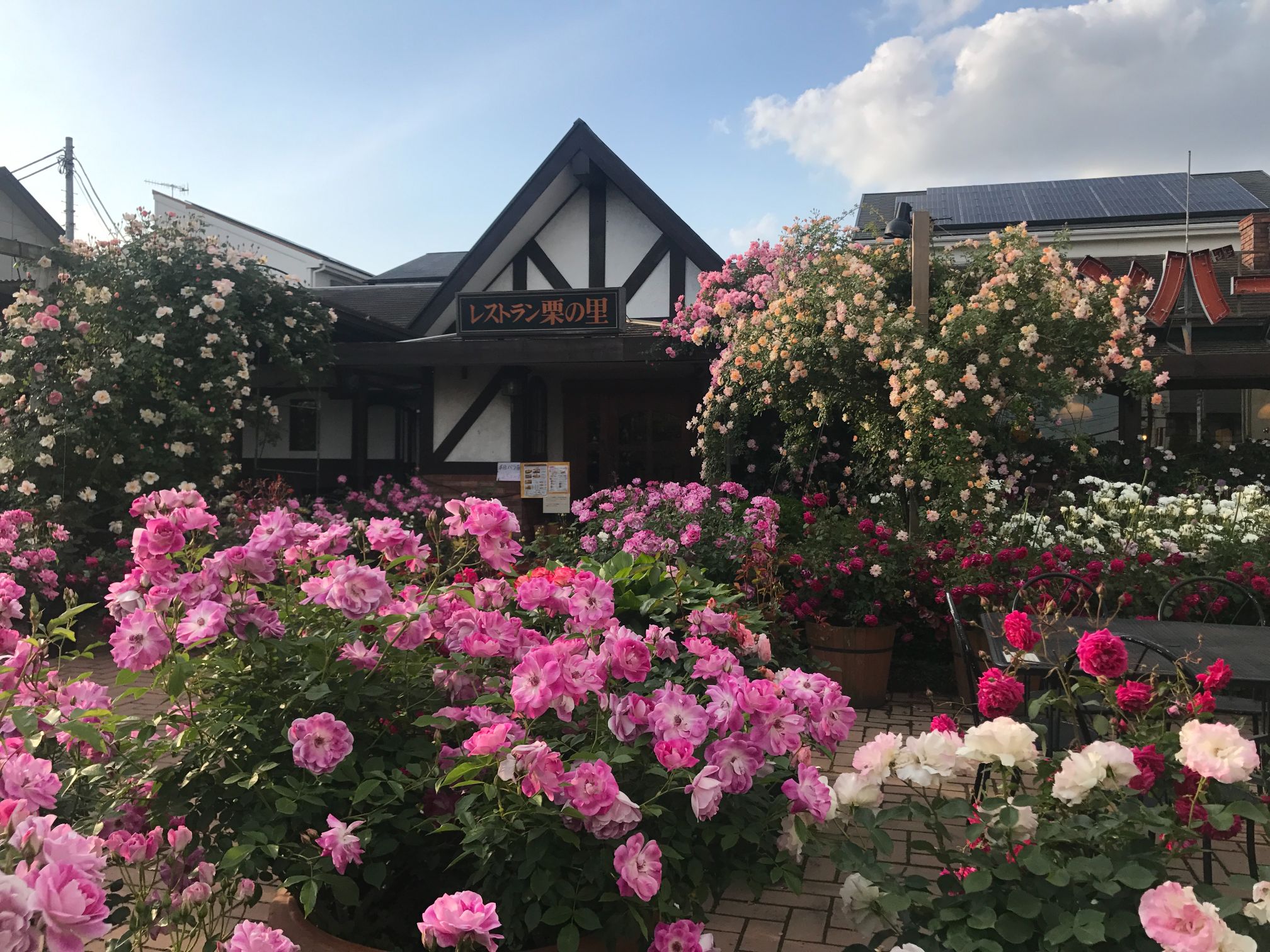 ローズガーデン 栗の里 厚木店の画像2