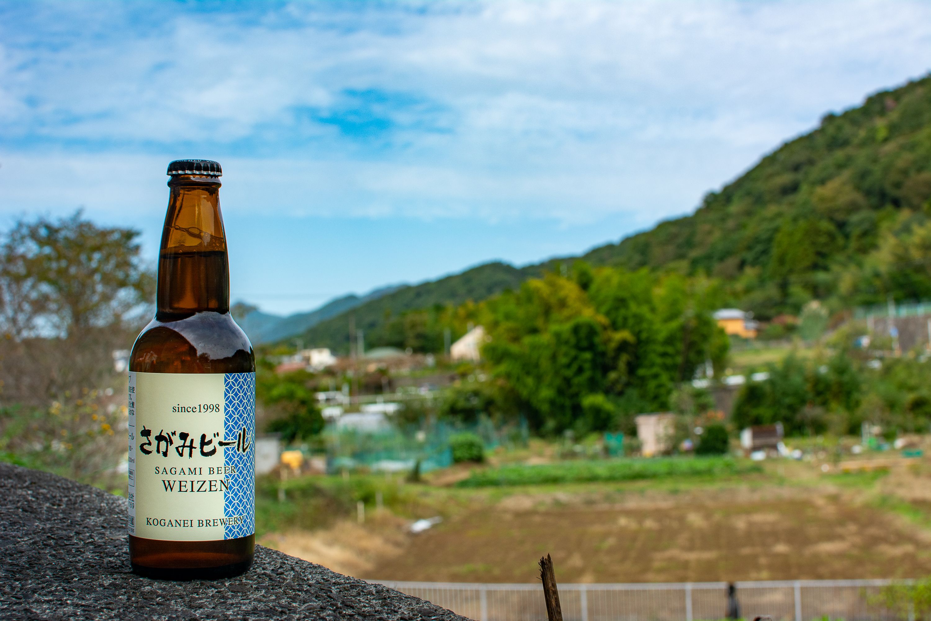 黄金井酒造の画像3