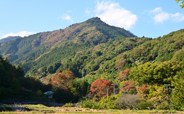 Point3