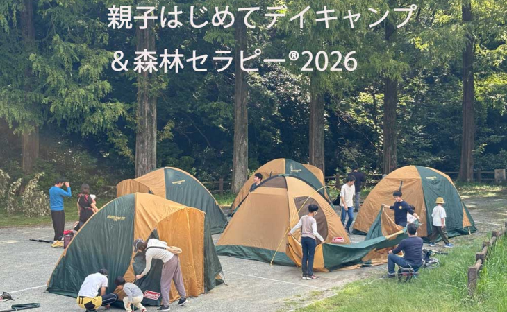 main_slider4