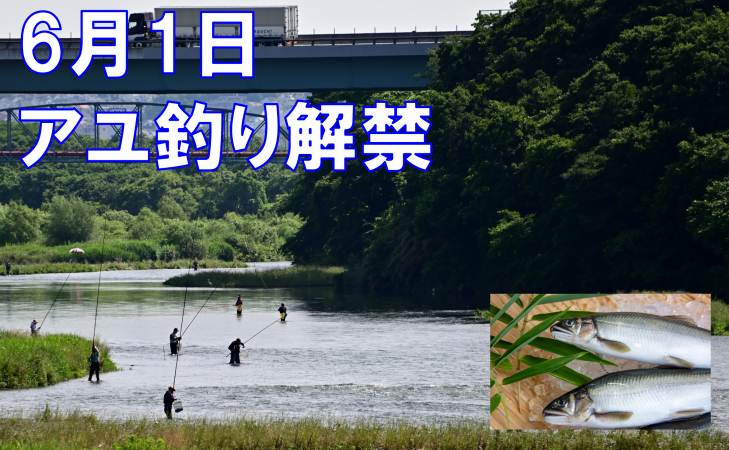main_slider5