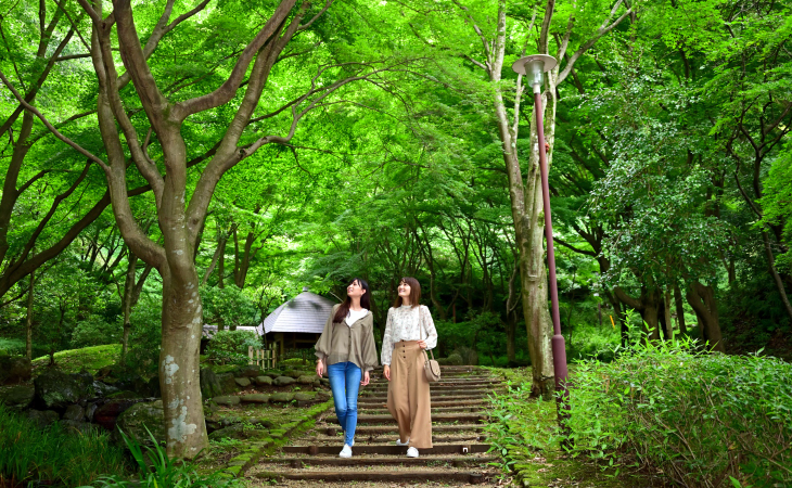 main_slider2