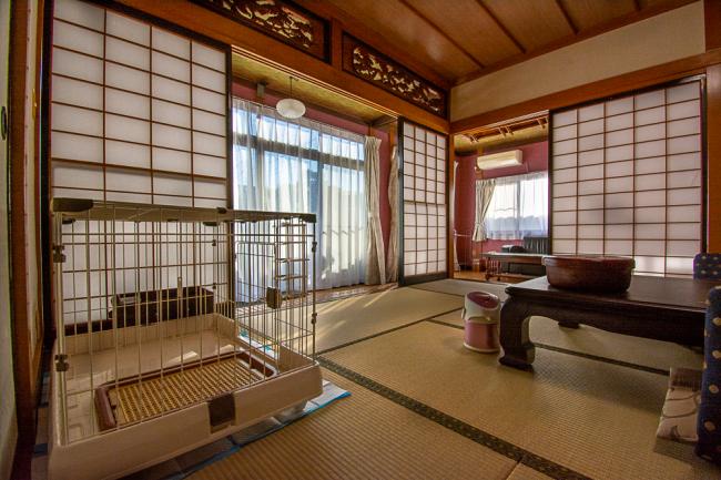 七沢荘の部屋の写真