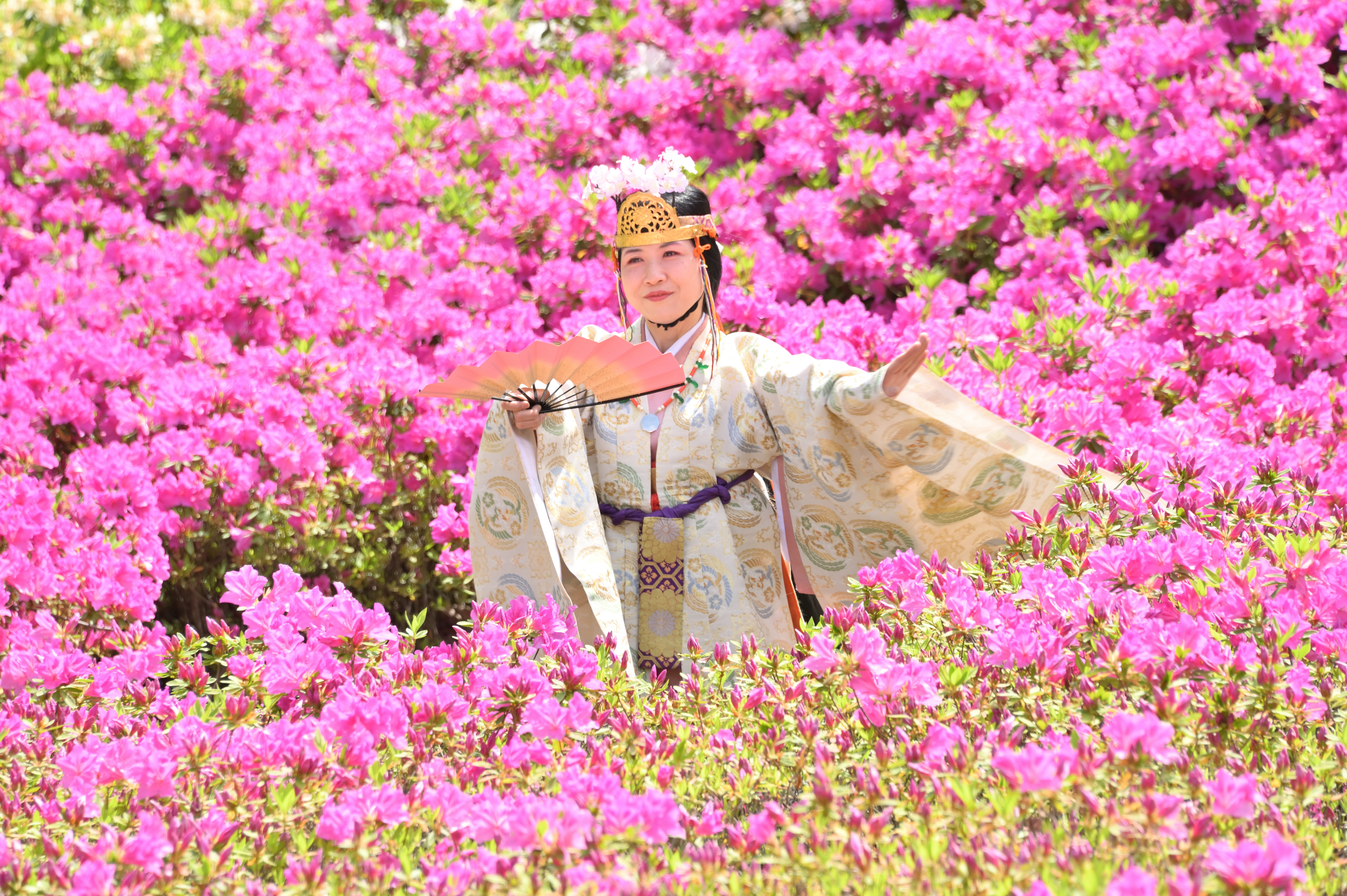 相模里神楽垣澤社中の写真