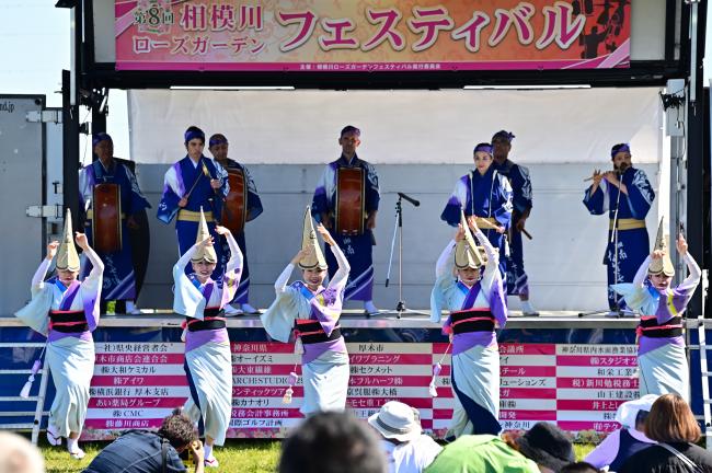 相模川ローズガーデンフェスティバルの写真