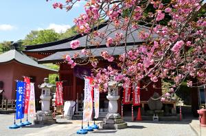 観音寺1