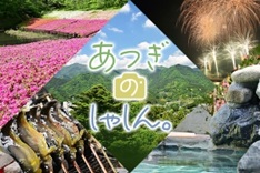 あつぎしゃしん。サイトへ
