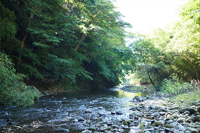 あつぎ飯山キャンプ場