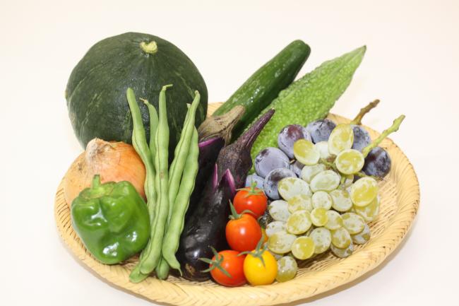 野菜の写真