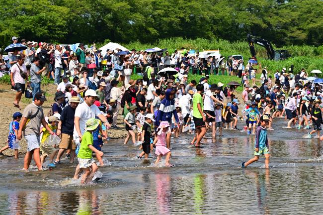 あつぎ鮎まつり鮎つかみ取りの写真