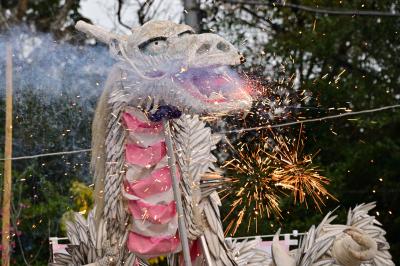 白龍の舞の写真