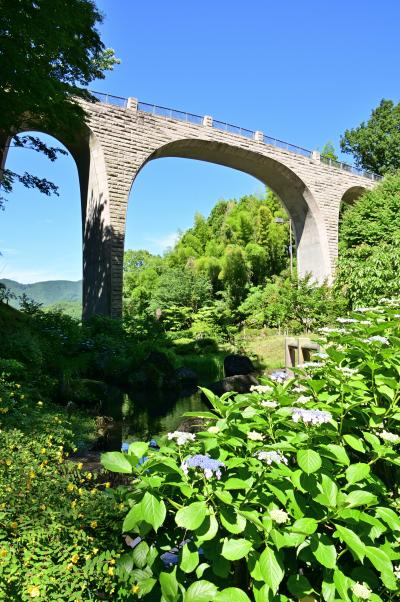 県立七沢森林公園アジサイの写真