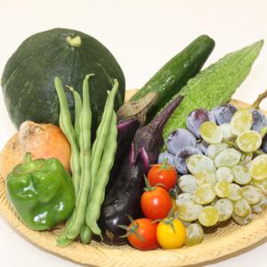 愛川の有機野菜の写真