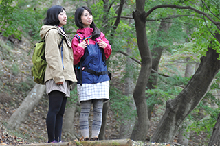 大山エリア（蓑毛～大山～不動尻～山の神隧道）の画像1