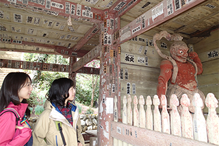 白山順礼峠エリア（順礼峠～白山～長谷寺～庫裡橋）の画像1