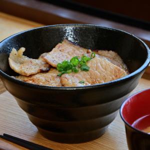 清川の恵水ポーク豚丼の写真