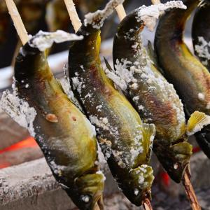 神奈川県内水面漁業協同組合連合会の写真