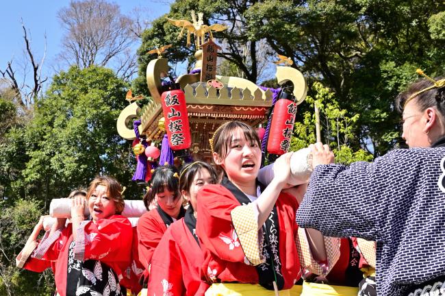 あつぎ飯山桜まつりの桜輿の写真