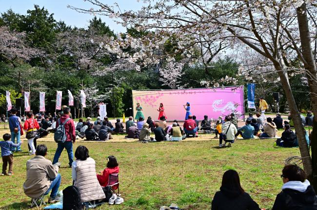 あつぎ飯山桜まつりの桜の広場の写真