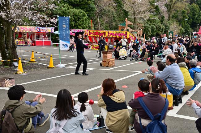 あつぎ飯山桜まつりの写真