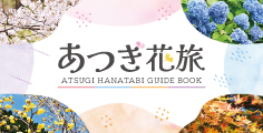 あつぎ花旅サイトへ