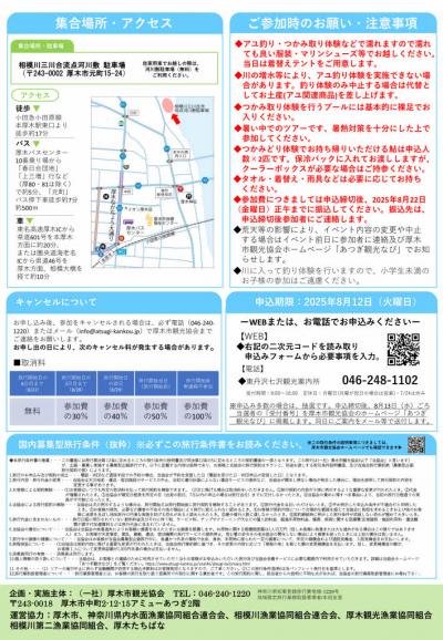 チラシ裏