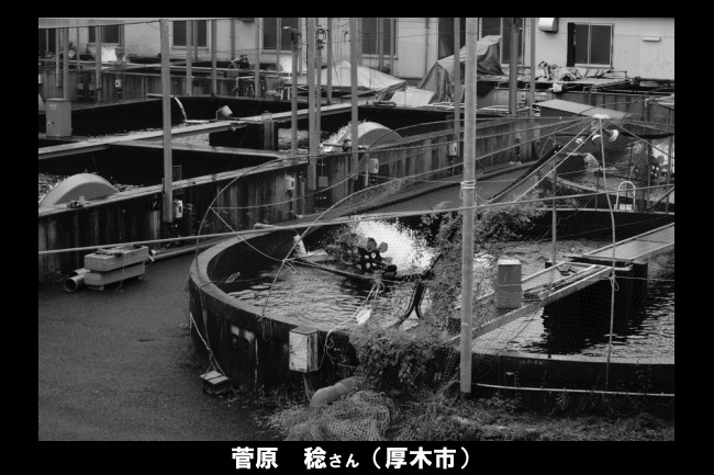 参加者・菅原さんの写真