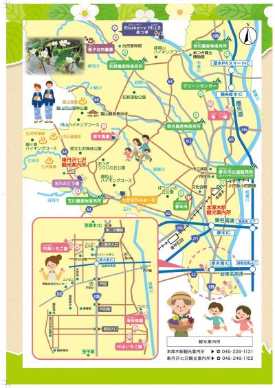 あつぎのおいしいもぎとり体験2025