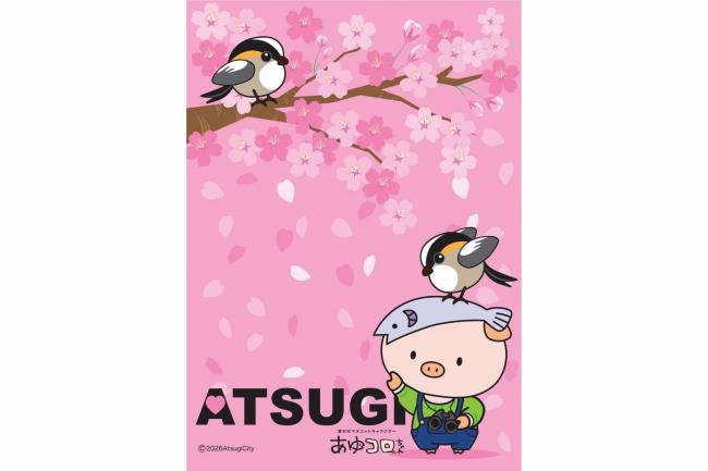 クリアーファイル