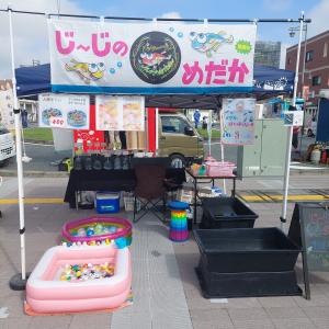 じーじのめだか