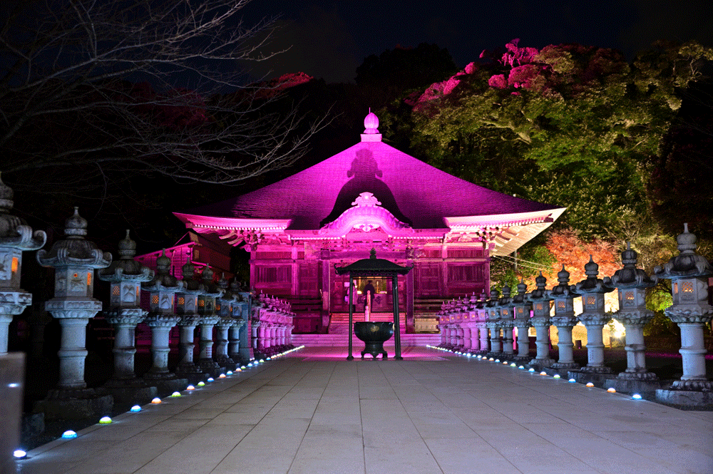 本堂ライトアップ