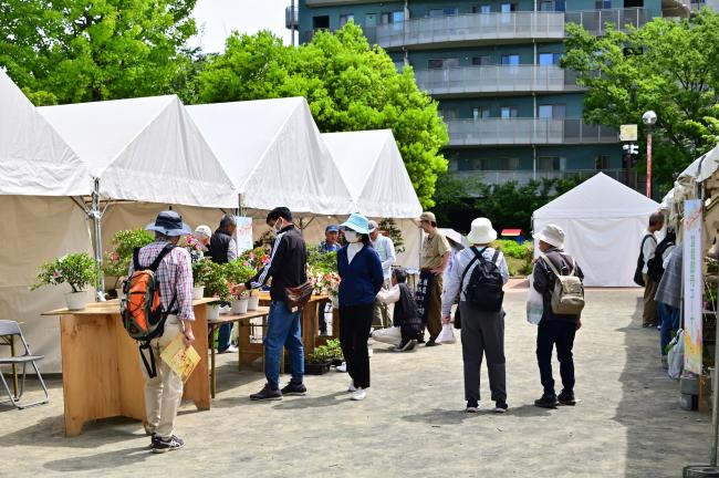 厚木市緑のまつりの写真
