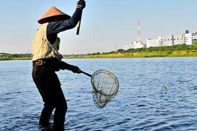 アユ釣りの写真