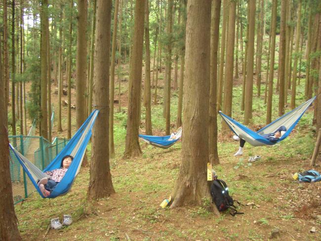 森林セラピー写真