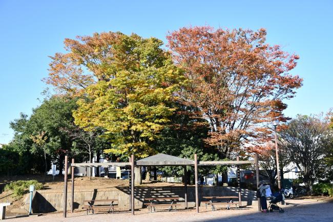 厚木中央公園