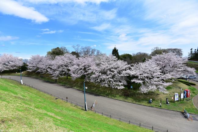 ぼうさいの丘公園