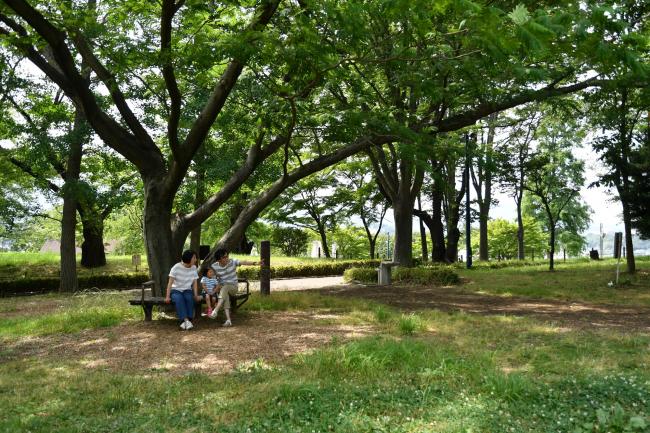 ぼうさいの丘公園