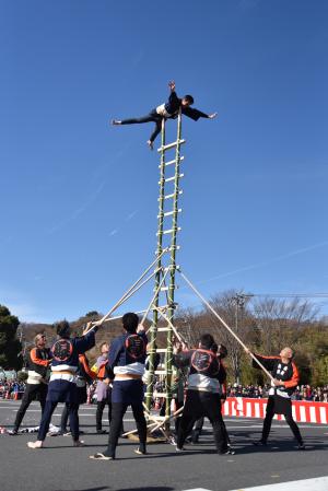 古式消防(木遣唄・まとい振り・梯子乗り) - 厚木市観光協会 あつぎ ...