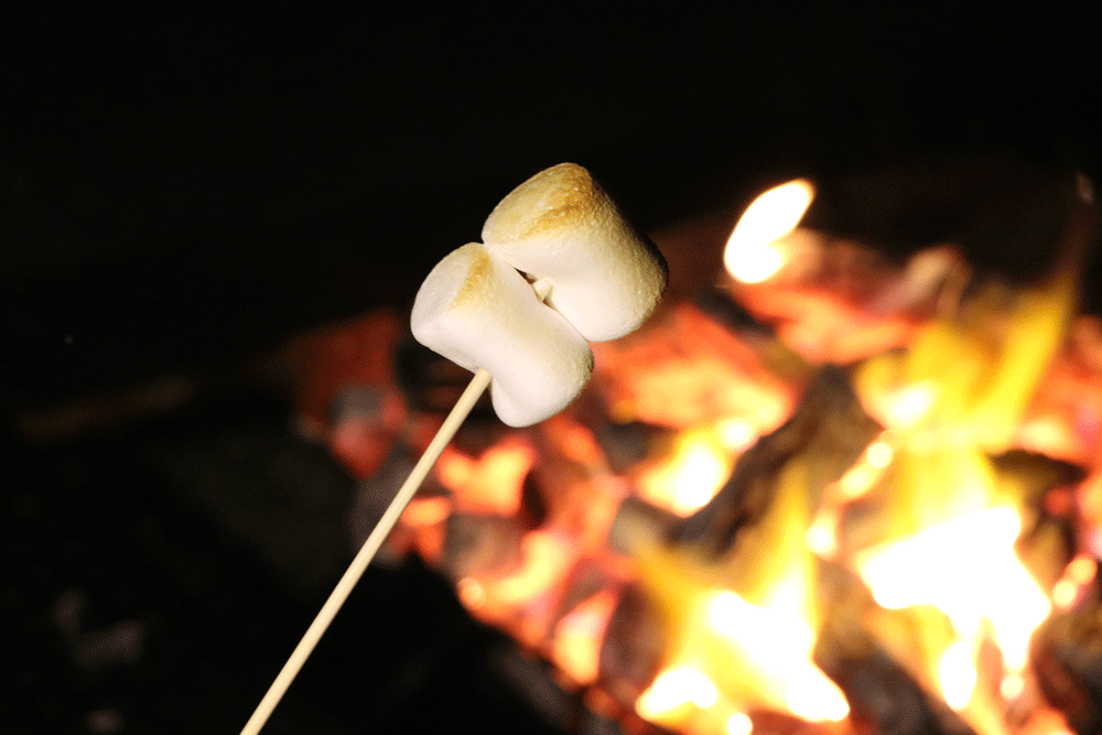 びぎなーずきゃんぷ2026　３