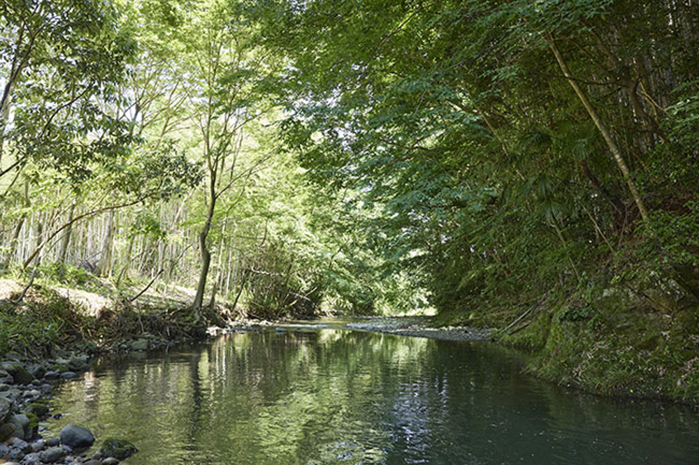 あつぎ飯山キャンプ場の写真