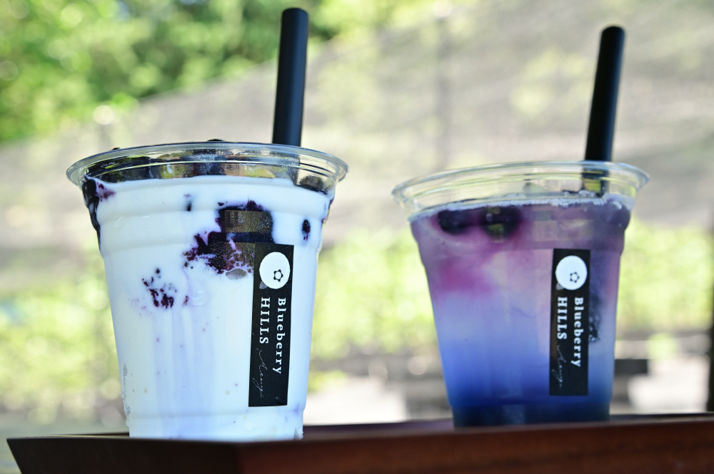 Blueberry HILLS あつぎの写真