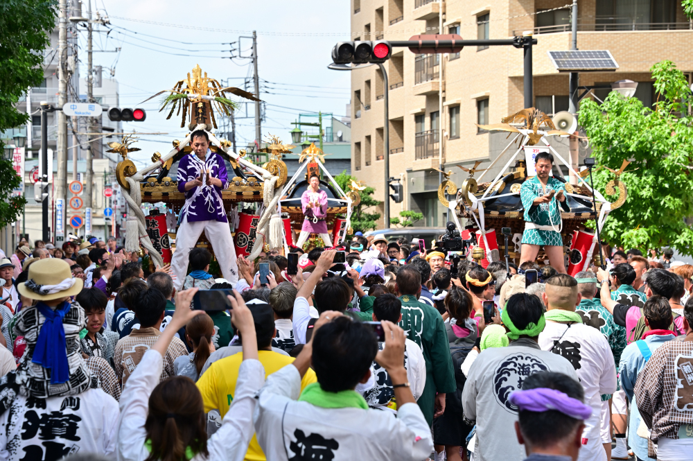 あつぎ鮎まつりみこしショーの写真