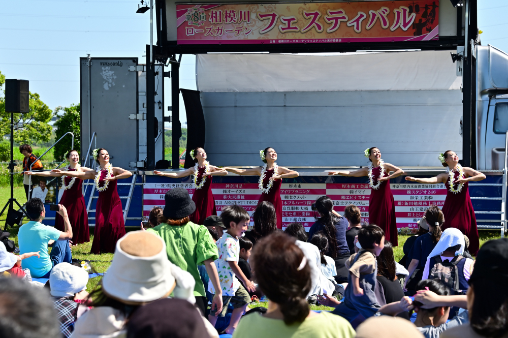 相模川ローズガーデンフェスティバルの写真