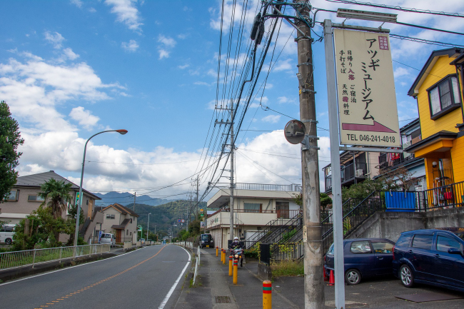 バス停から見える看板の写真