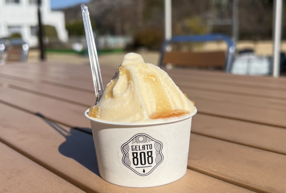 七沢温泉食の市の写真