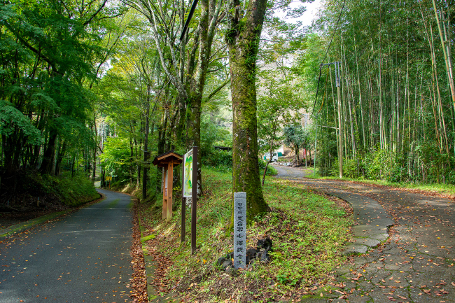 参道の画像