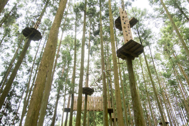 地上15メートルのコースもありますの写真