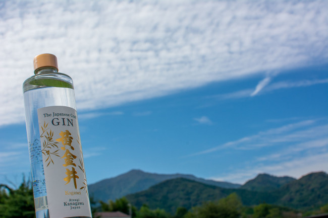 The Japanese Craft GIN 黄金井200ml 1800円の画像