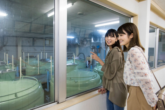 こちらは現在使用している酒造庫ですの画像